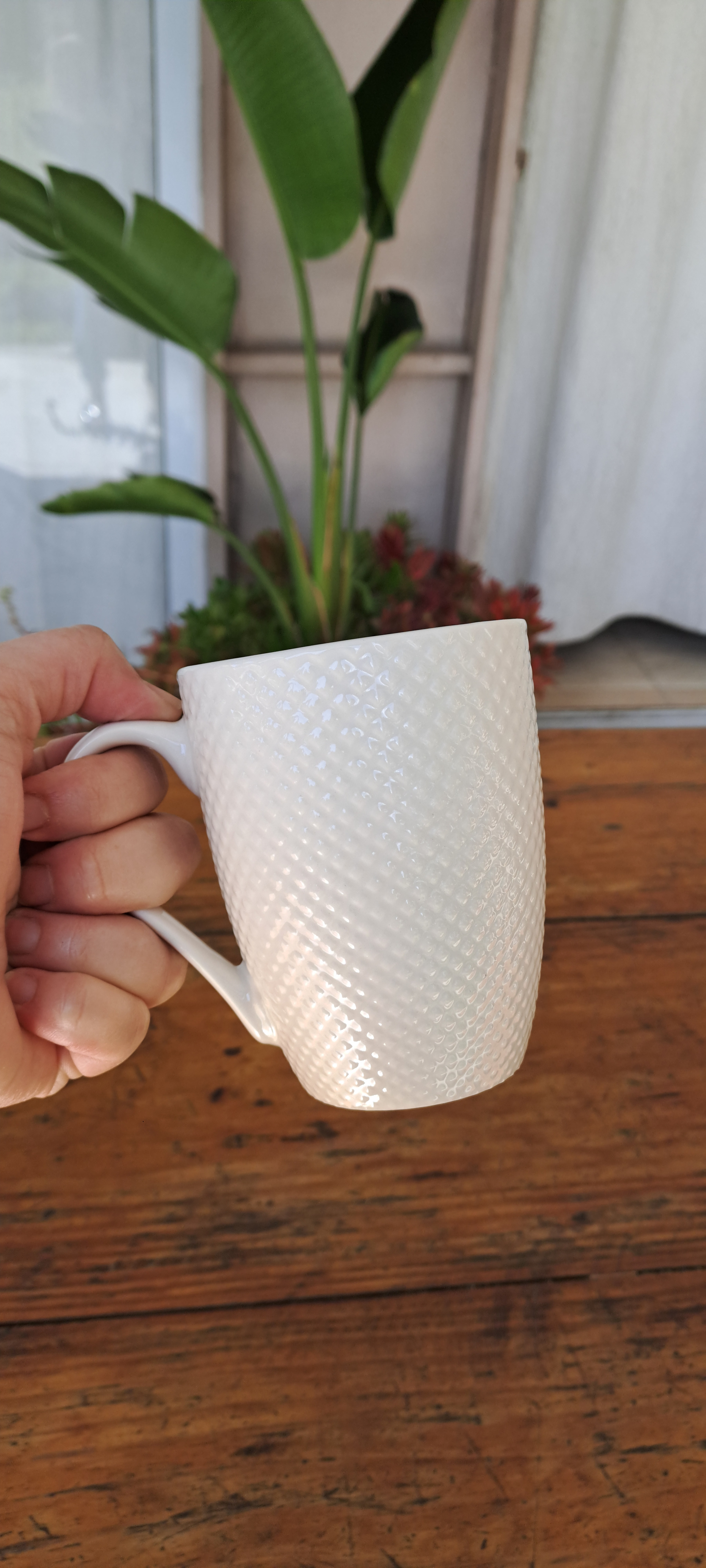 /storage/photos/1/TAZAS/3.3.3.jpg