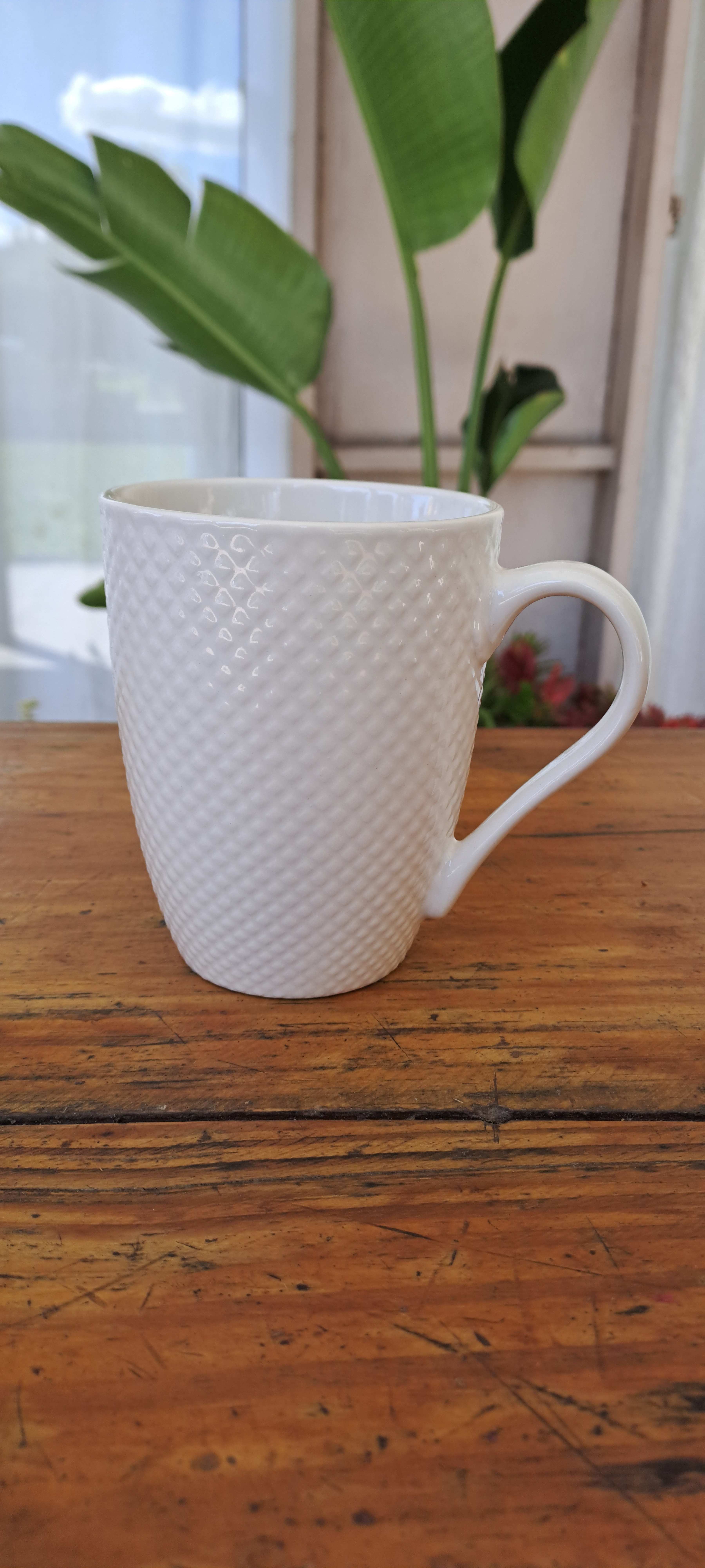 /storage/photos/1/TAZAS/3.3.jpg